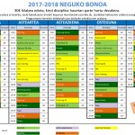 OK BONO inv 17.18 13 11